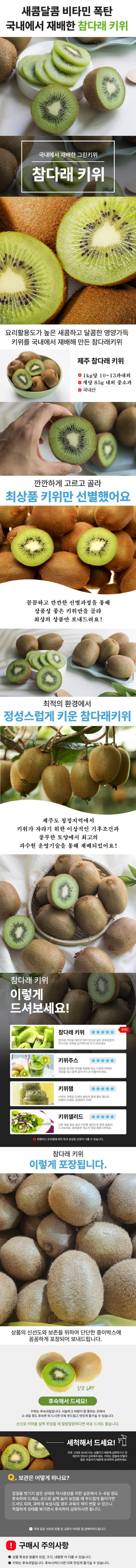 제주 참다래 그린키위 1kg