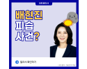 배현진 피습 사건? [배현진 국회의원]