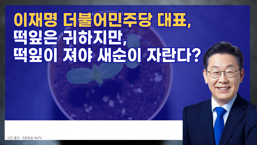 이재명 더불어민주당 대표,  떡잎은 귀하지만, 떡잎이 져야 새순이 자란다?